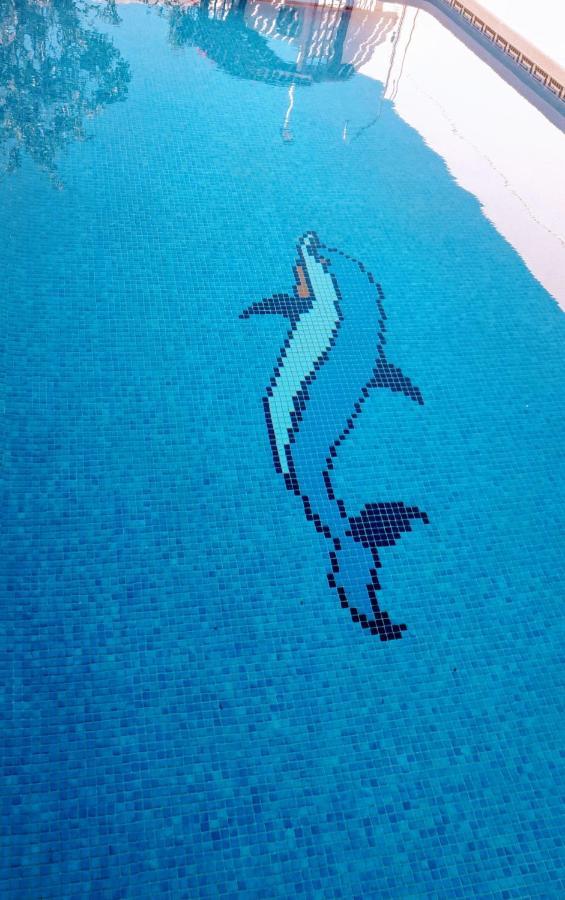 סן פדרו דל פינטר Flamingo Vila Alicante מראה חיצוני תמונה