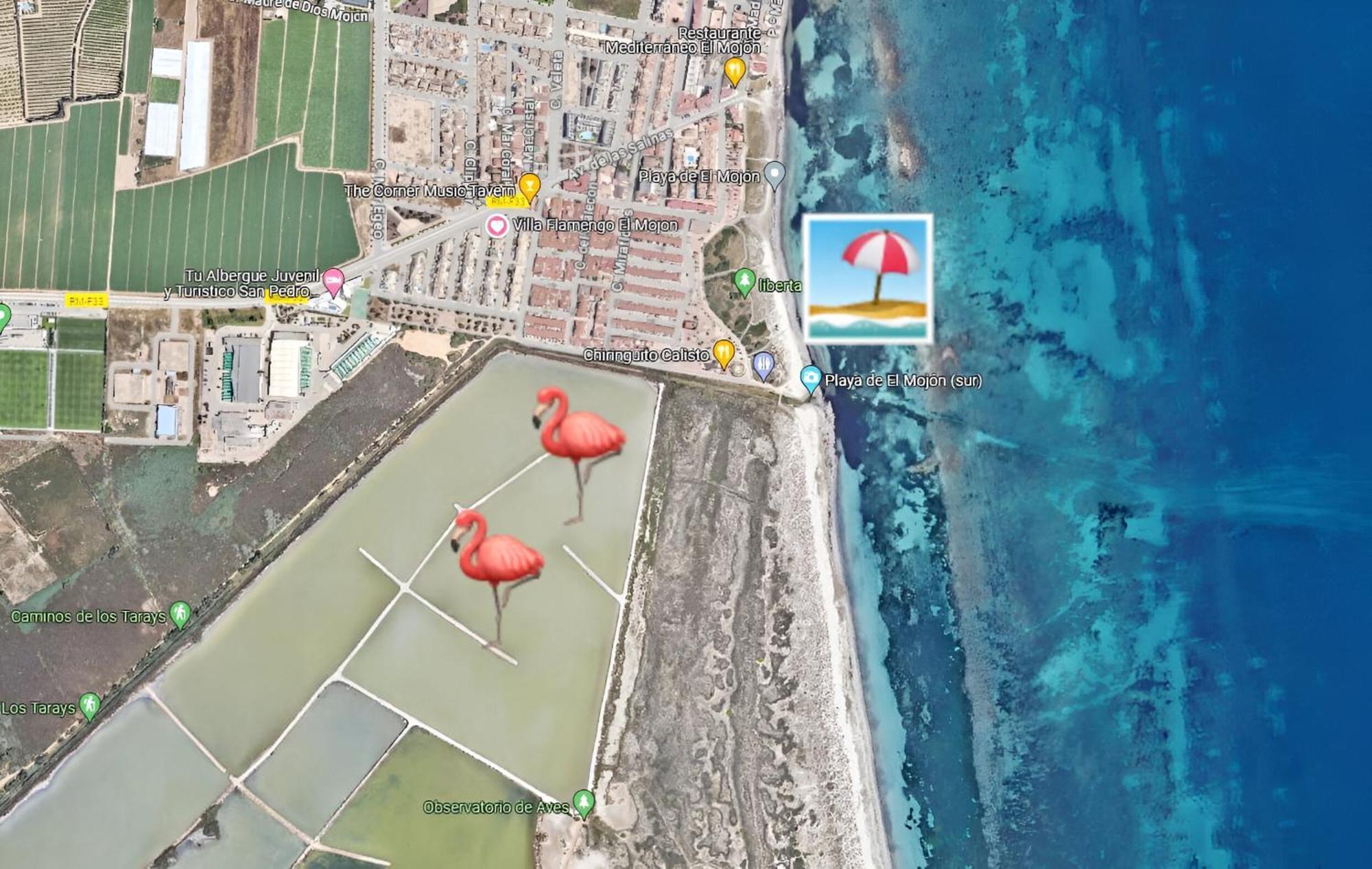 סן פדרו דל פינטר Flamingo Vila Alicante מראה חיצוני תמונה
